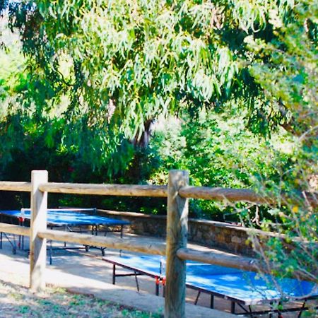 르 라방두 Mazet « Domaine De La Pinede » 아파트 외부 사진